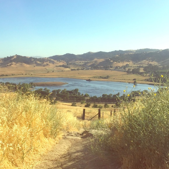 Meet your Posher, Mikal - Picture 1 of 1